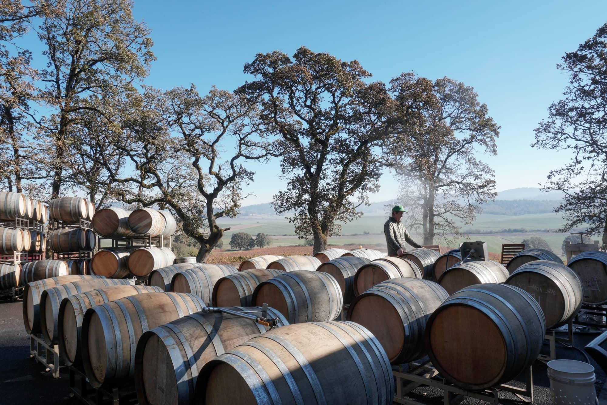 Biodynamic Winemaking Johan Winery & Vineyard